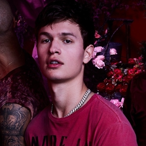 Ansel Elgort artist photo