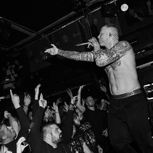 King 810 artist photo
