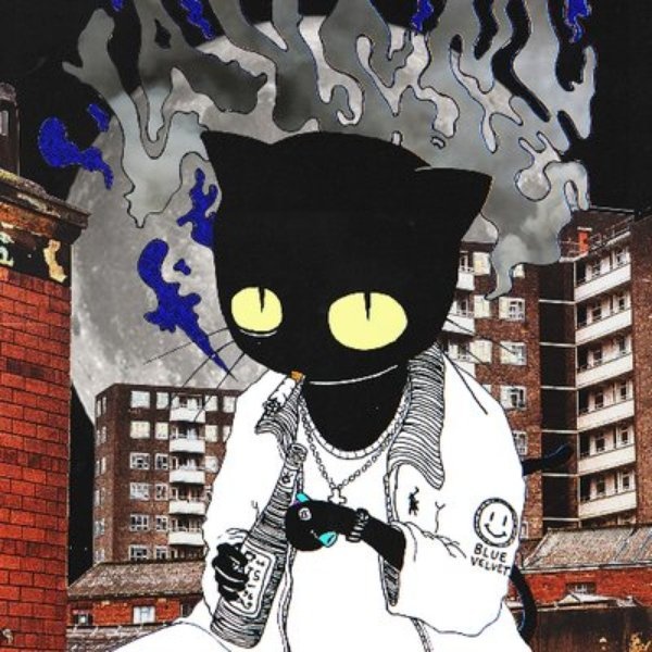 lausse the cat artist photo