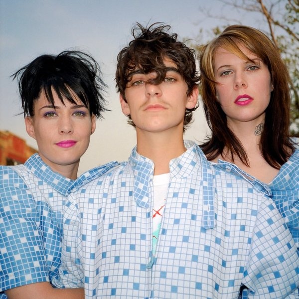 Le Tigre artist photo