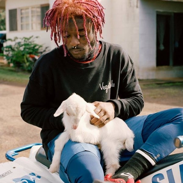 Lil Uzi Vert artist photo