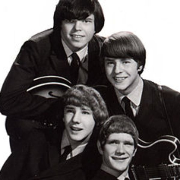 The McCoys artist photo