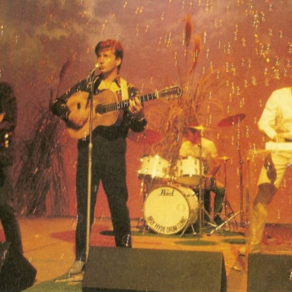 Mental As Anything artist photo