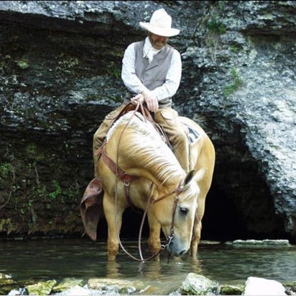 Michael Martin Murphey artist photo