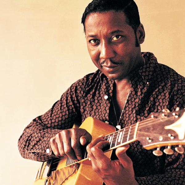 Muddy Waters artist photo