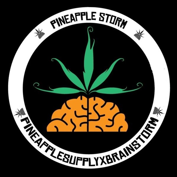 Pineapple StormTV artist photo