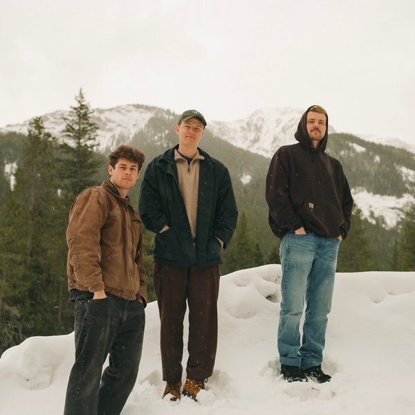 Richy Mitch & The Coal Miners artist photo