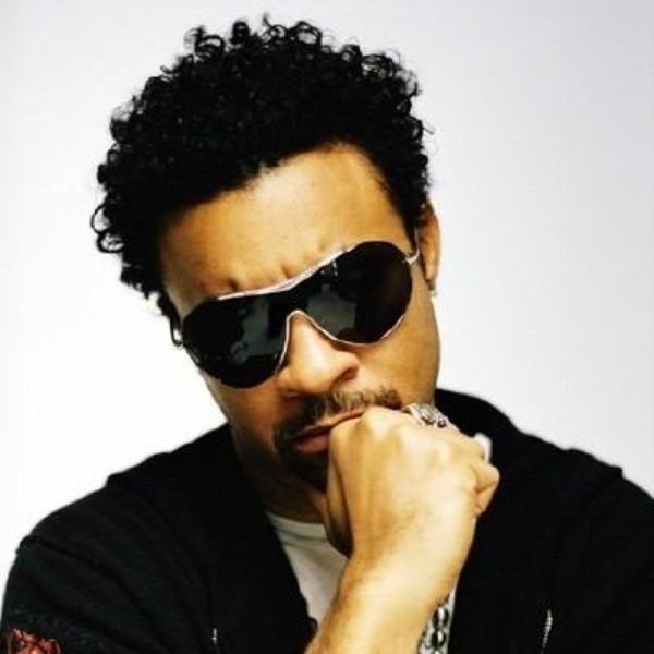 Shaggy artist photo