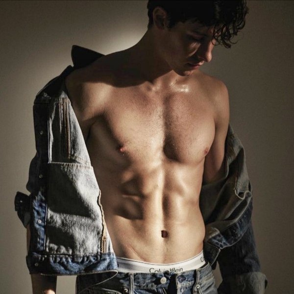 Shawn Mendes artist photo