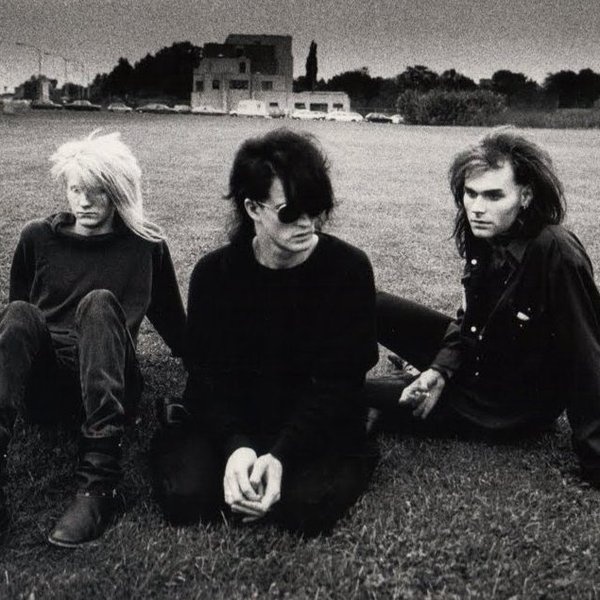 Skinny Puppy artist photo