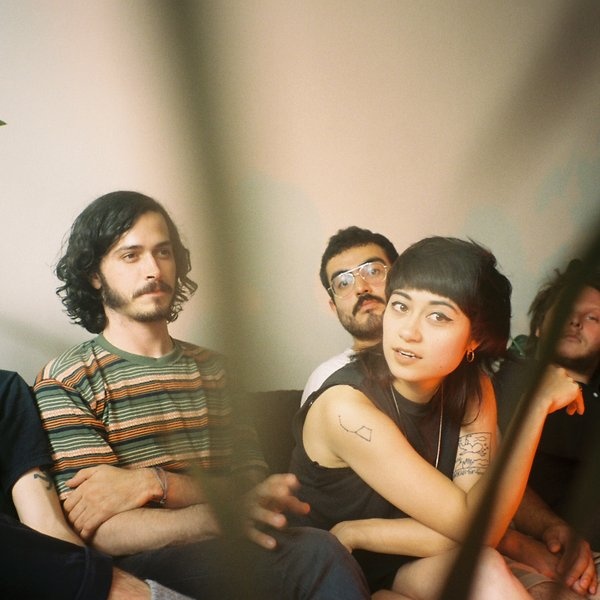 SPIRIT OF THE BEEHIVE artist photo