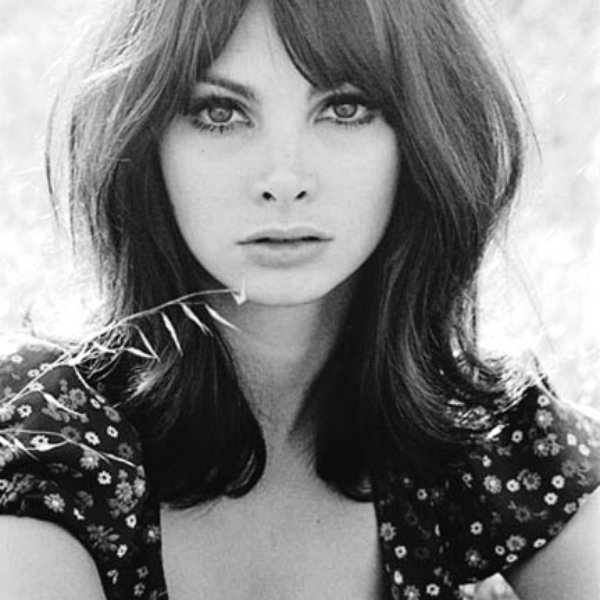 Toni Basil artist photo