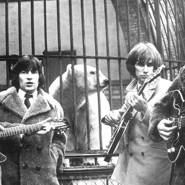 The Troggs artist photo