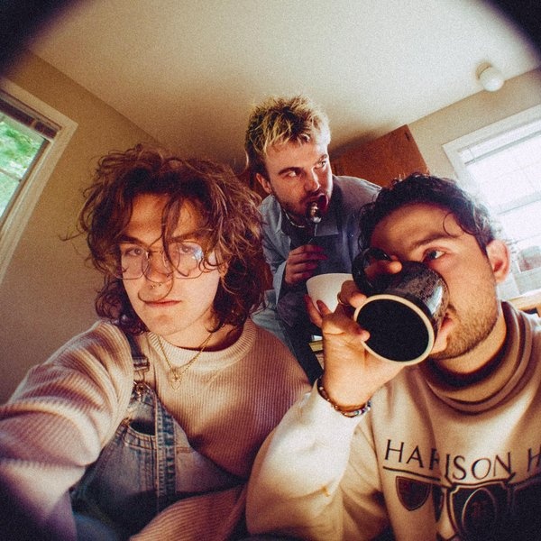 The Wldlfe artist photo