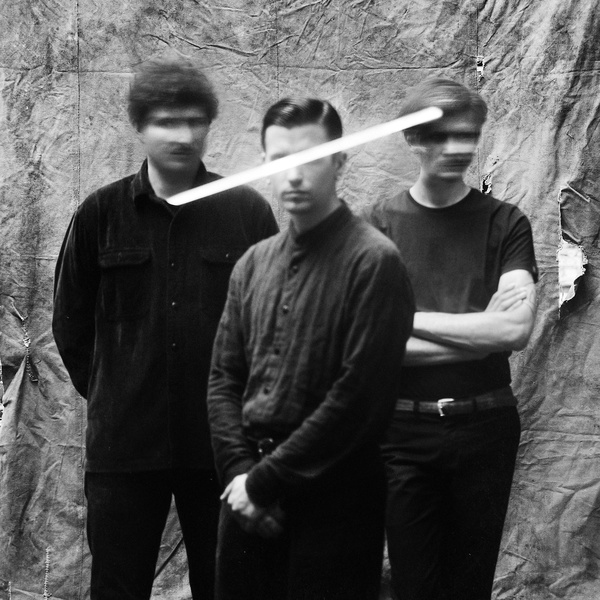 Birds in Row artist photo