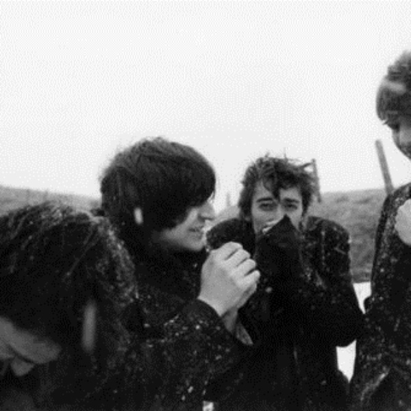 The Chameleons artist photo