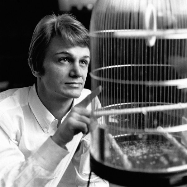 Claude François artist photo