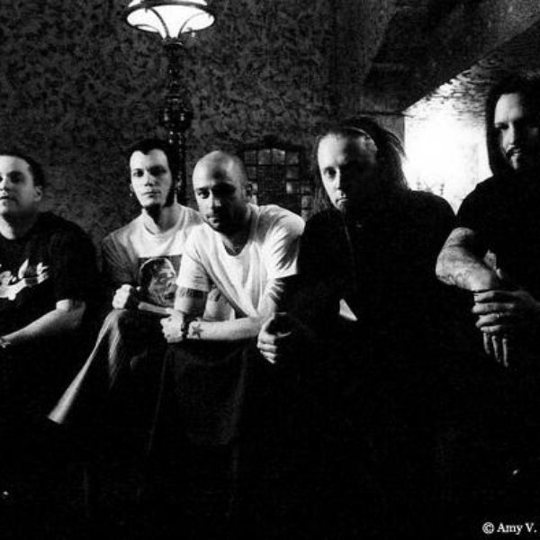 Cold artist photo