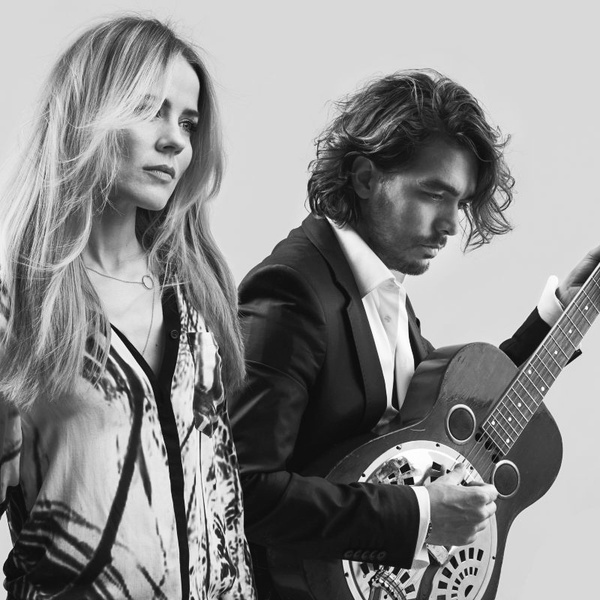 The Common Linnets artist photo