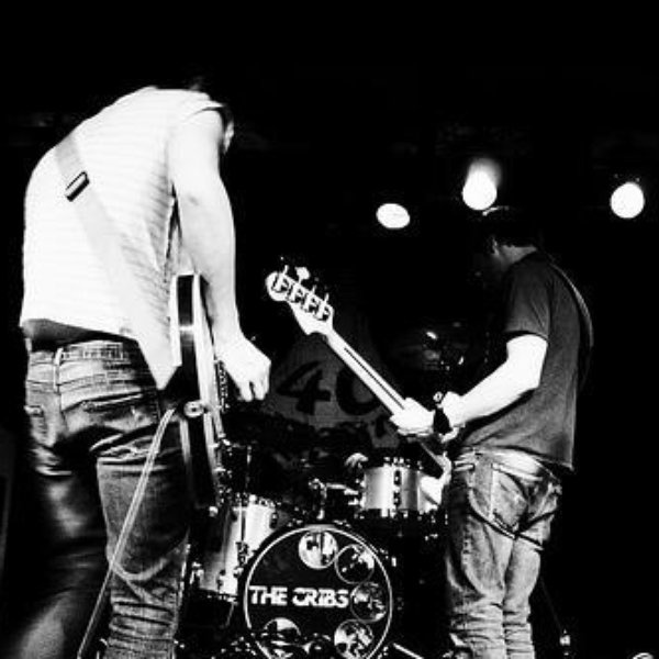 The Cribs artist photo