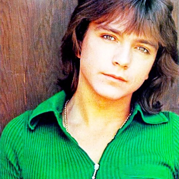 David Cassidy artist photo