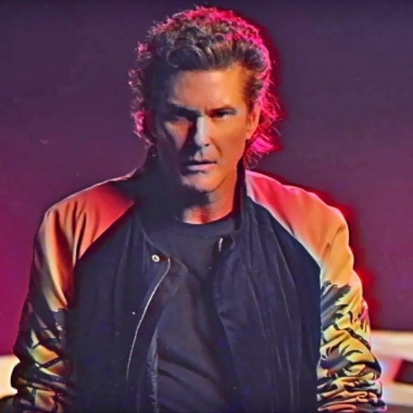 David Hasselhoff artist photo
