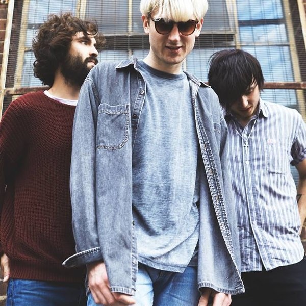 Dinosaur Pile-Up artist photo