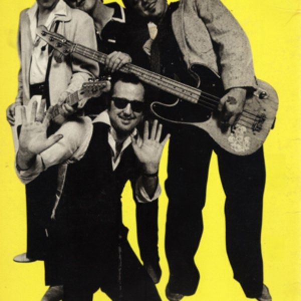 The Fabulous Thunderbirds artist photo