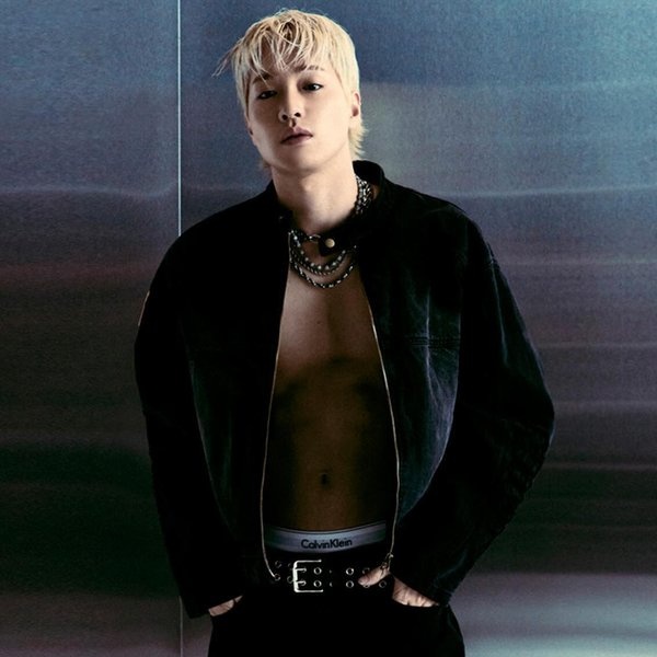 Gemini artist photo