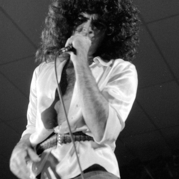Gino Vannelli artist photo