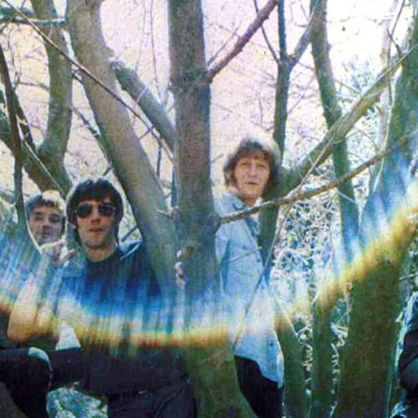 The Grass Roots artist photo