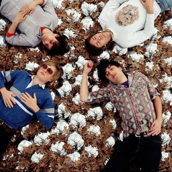 Grizzly Bear artist photo