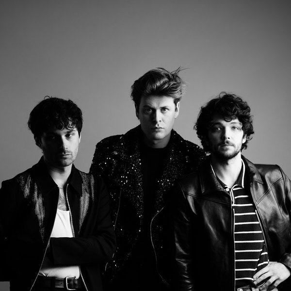 The Amazons artist photo