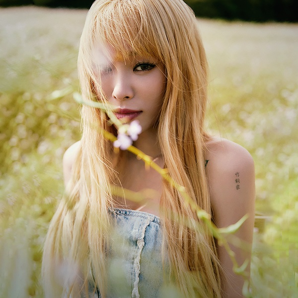 Heize artist photo