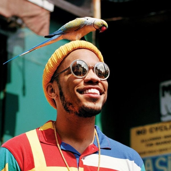 Anderson .Paak artist photo
