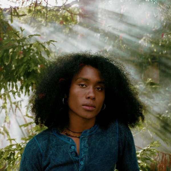Jelani Aryeh artist photo
