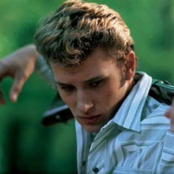 Johnny Hallyday artist photo